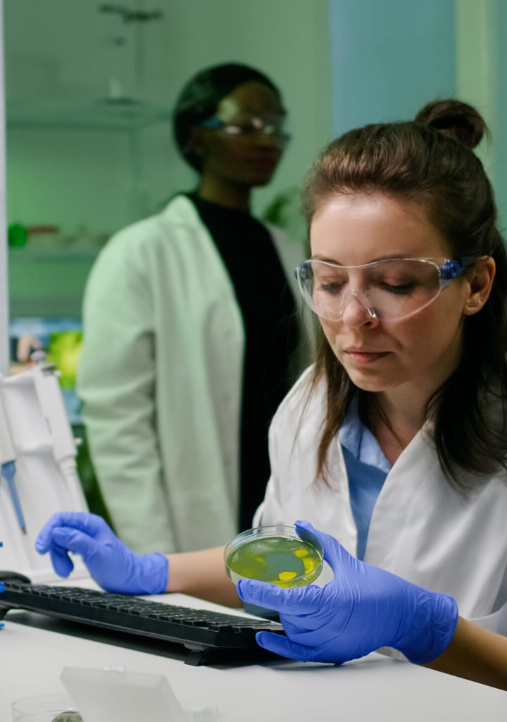 Chemist scientist taking dna solution from test tube with micropipette putting in petri dish checking biology expertise. Biologist specialist researcher working in biotechnology laboratory
