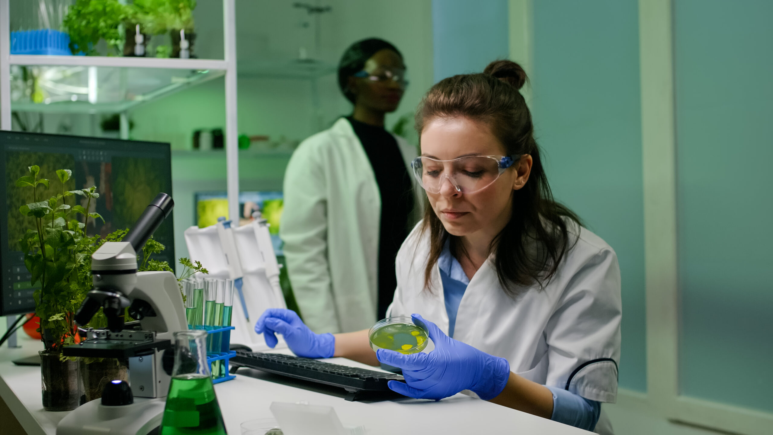 Chemist scientist taking dna solution from test tube with micropipette putting in petri dish checking biology expertise. Biologist specialist researcher working in biotechnology laboratory