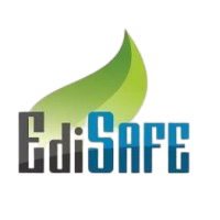 EDISAFE LOGISTICS PRIVATE LIMITED